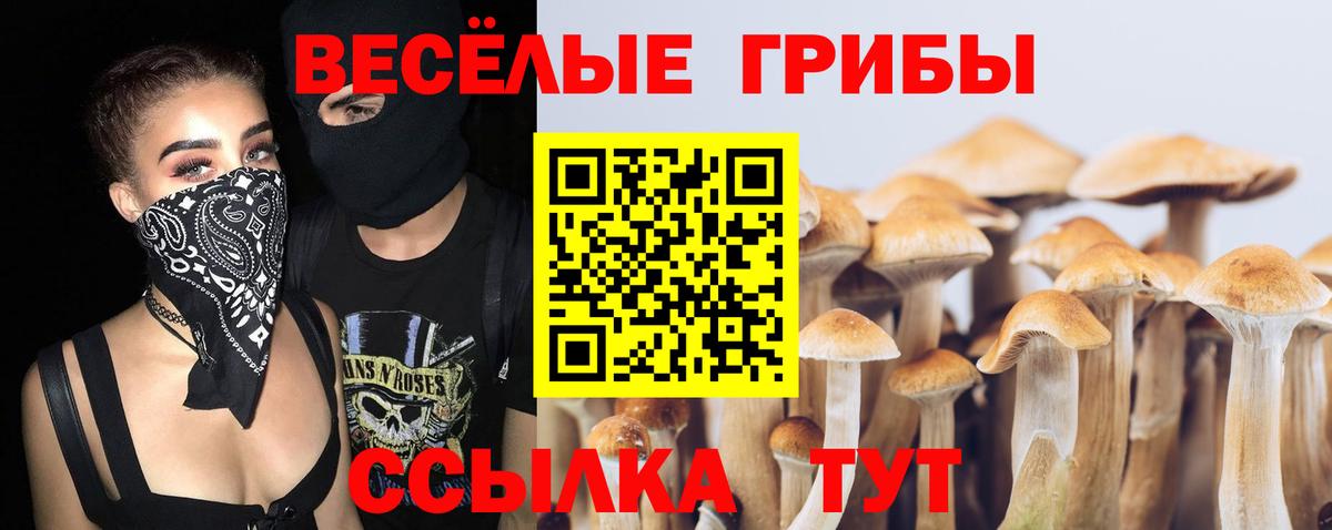 Котлас  Псилоцибиновые грибы Cubensis  Вход с VPN 