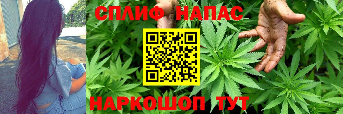 Котлас  Марихуана гибрид  Канабис марихуана  Вход с VPN  Конопля Bruce Banner 
